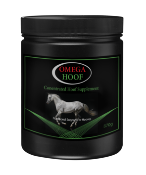 Concetrated_Hoof_Supplement_1_copy_295x