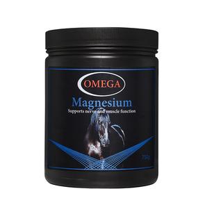 Magnesium_750g_dca49ba7-761b-4653-99dd-6df920493de3_295x