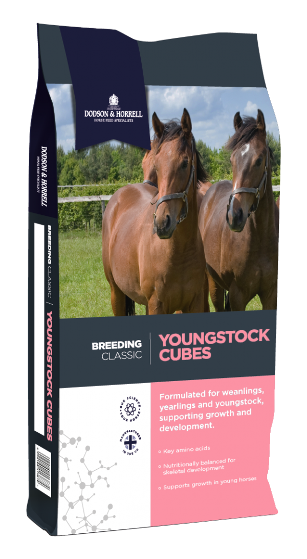 D&H Youngstock Cubes