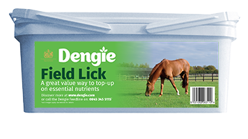 Dengie field Lick
