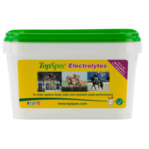 topspec electrolytes 1.5 kg