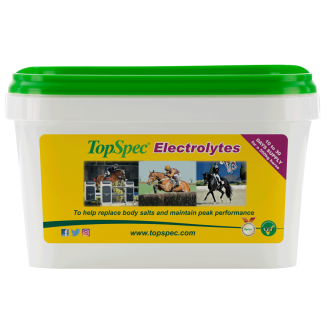 topspec electrolytes 1.5 kg