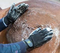 hands on grooming glove