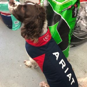 Ariat Team Dog Jacket