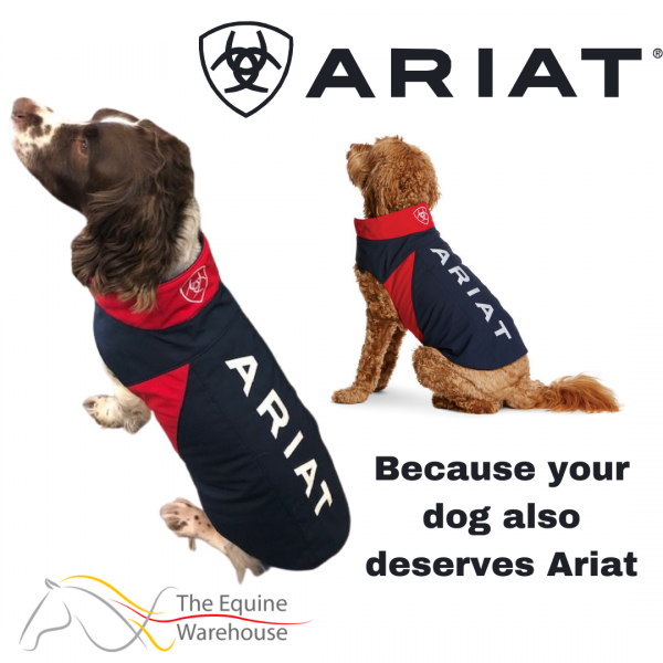 your dog deserves ariat