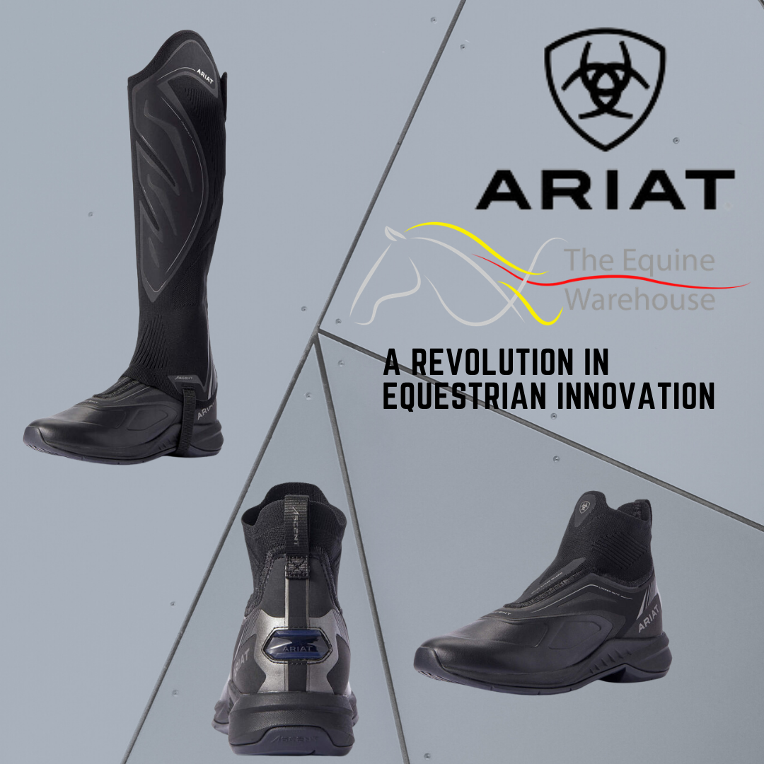 Ariat Ascent Paddock Boot - The Equine Warehouse