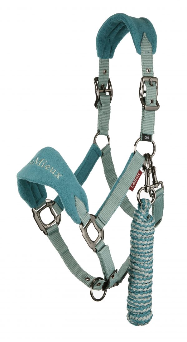 Vogue Head Collar and Lead Rope Sage