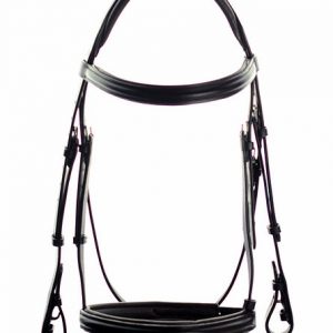 Ascot Comfort Padded Show Bridle