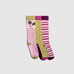 spaniel socks (1)
