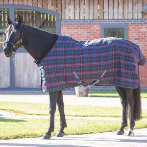 Shires Tempest 100g stable rug