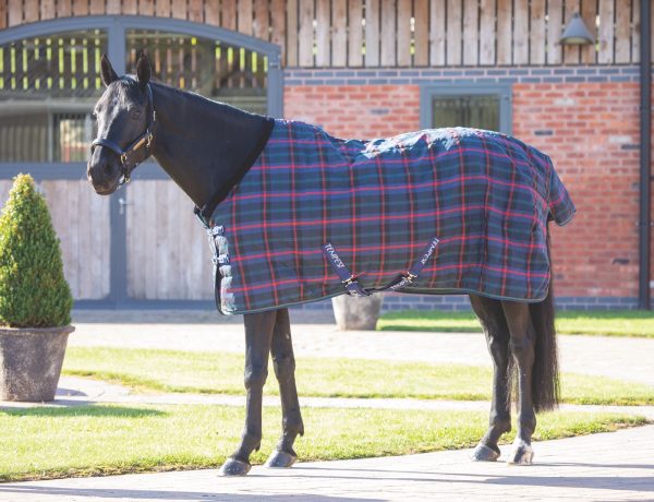 Shires Tempest 100g stable rug